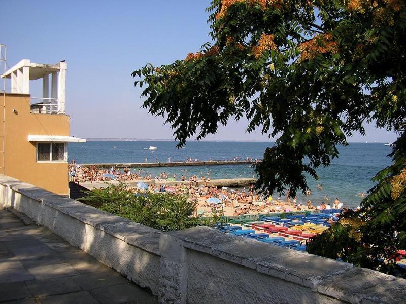 Студия С Двориком В Отраде Odessa Extérieur photo