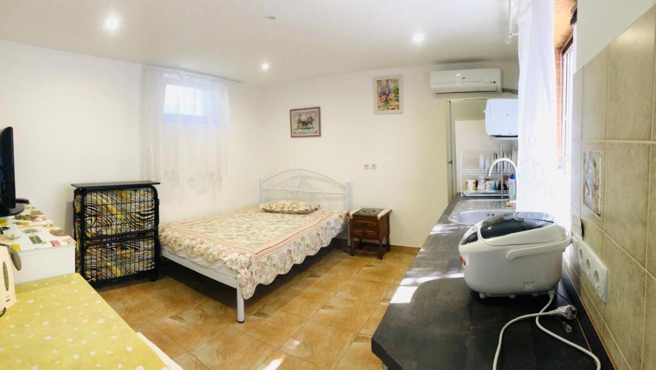 Студия С Двориком В Отраде Odessa Extérieur photo