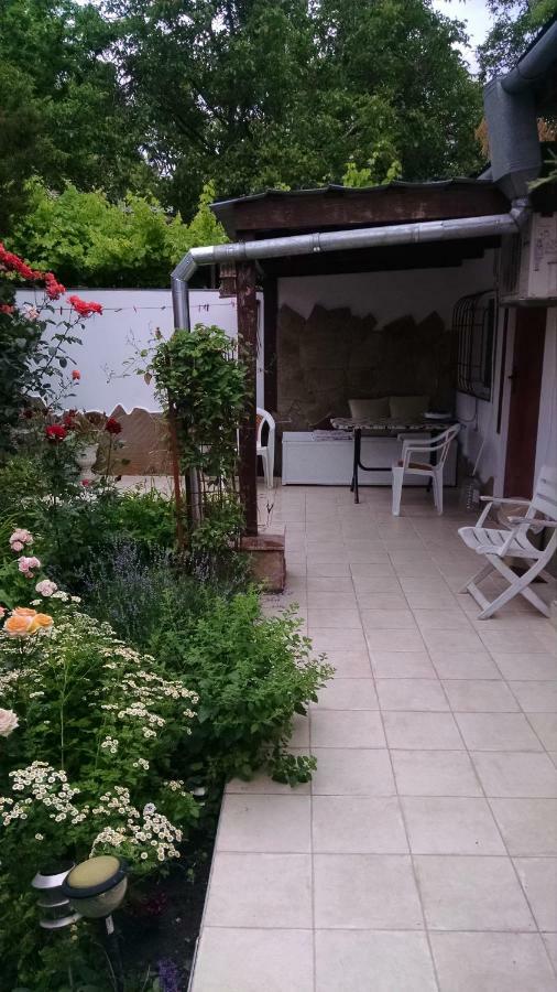 Студия С Двориком В Отраде Odessa Extérieur photo